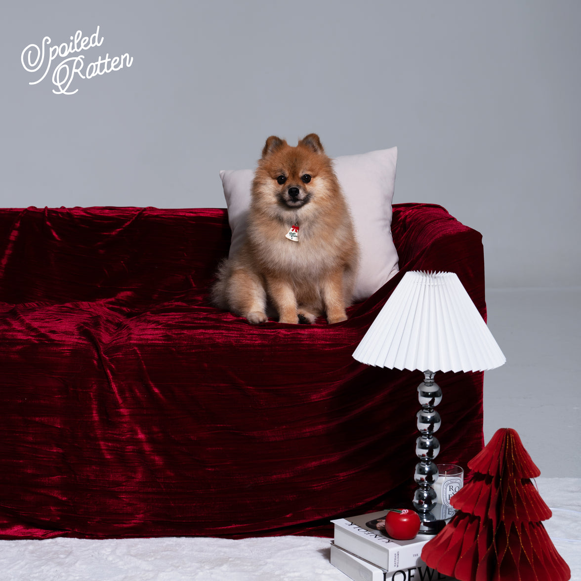 Spoiled Rotten Pet Charm - Urbanized Co. Default Title