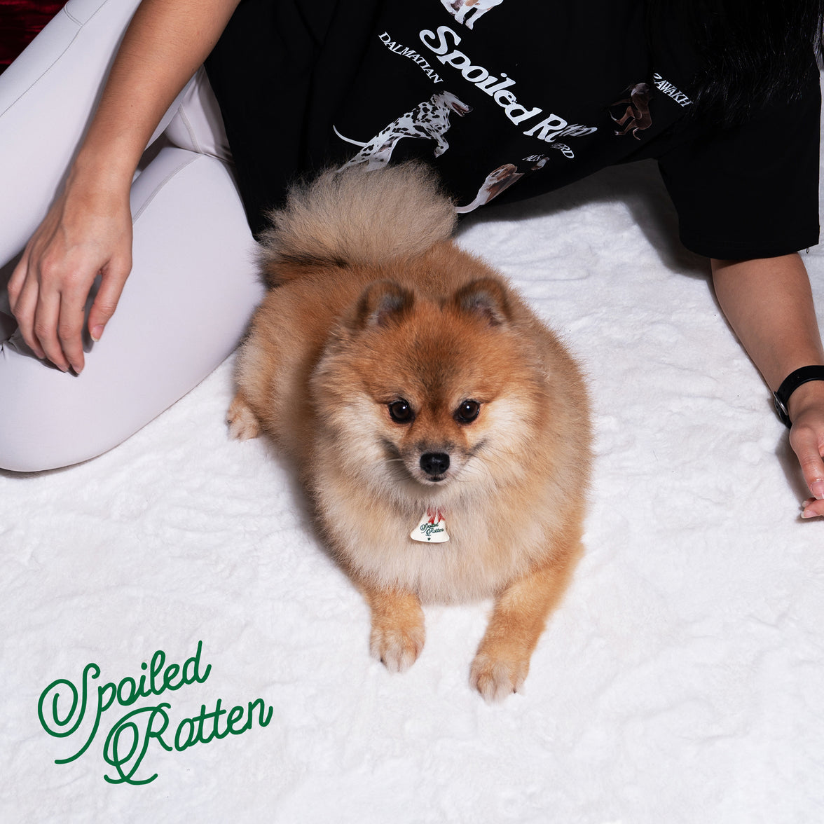 Spoiled Rotten Pet Charm - Urbanized Co. Default Title