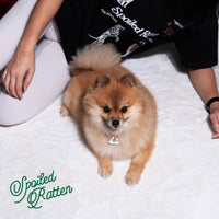 Spoiled Rotten Pet Charm - Urbanized Co. Default Title